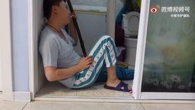 成人猫爬架视频大全,全方位解析热门猫爬架视频大全