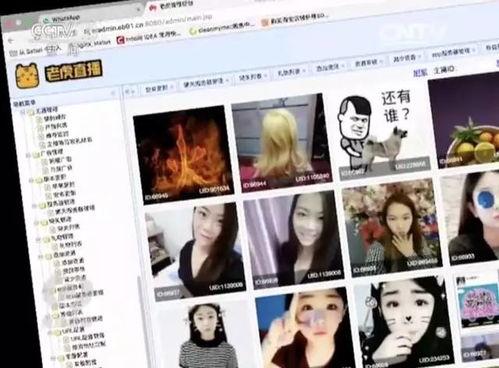 成人直播情趣视频直播,隐私边界与网络监管的较量