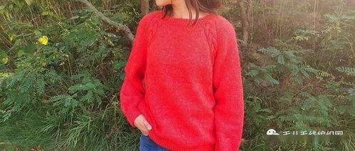 成人棒针毛衣教学视频,新手必看！跟随教学视频轻松学会编织成人棒针毛衣