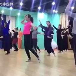 儿歌成人跳舞视频大全,儿歌舞蹈视频盛宴