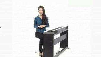 成人区免费视频美女视频,免费视频美女精选集锦