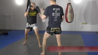 成人泰拳搏击格斗视频,成人实战技巧解析与精彩瞬间回顾