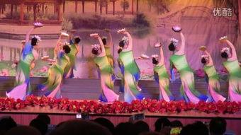 成人舞蹈荷花舞视频,成人舞蹈之美演绎